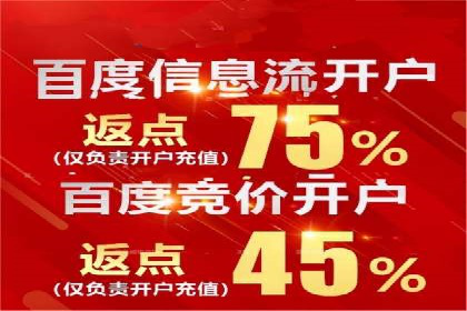 百度广告竞价之成功案例：某行业领军企业的崛起之路