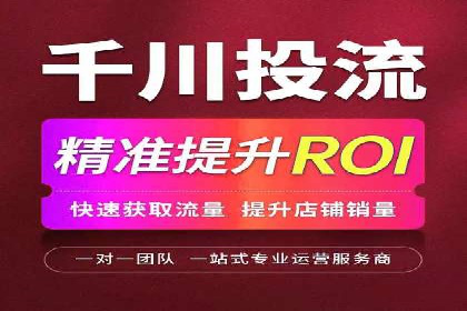 SEM公司案例分享：优化效果与转化率提升策略